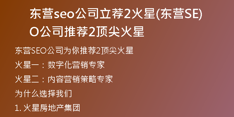 东营seo公司立荐2火星(东营SEO公司推荐2顶尖火星)