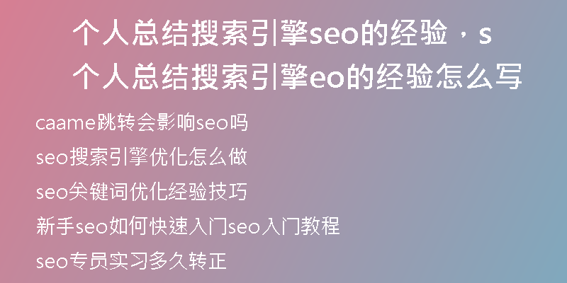 个人总结搜索引擎seo的经验，个人总结搜索引擎seo的经验怎么写