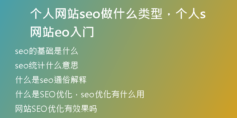 个人网站seo做什么类型，个人网站seo入门