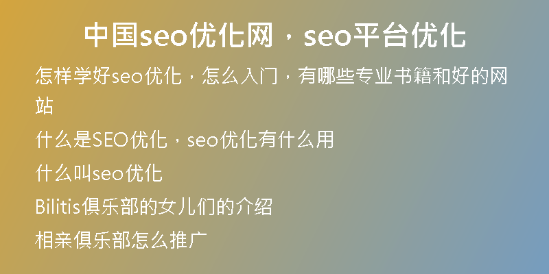 中国seo优化网，seo平台优化