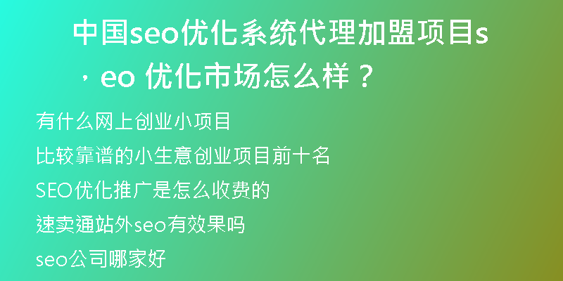 中国seo优化系统代理加盟项目，seo 优化市场怎么样？