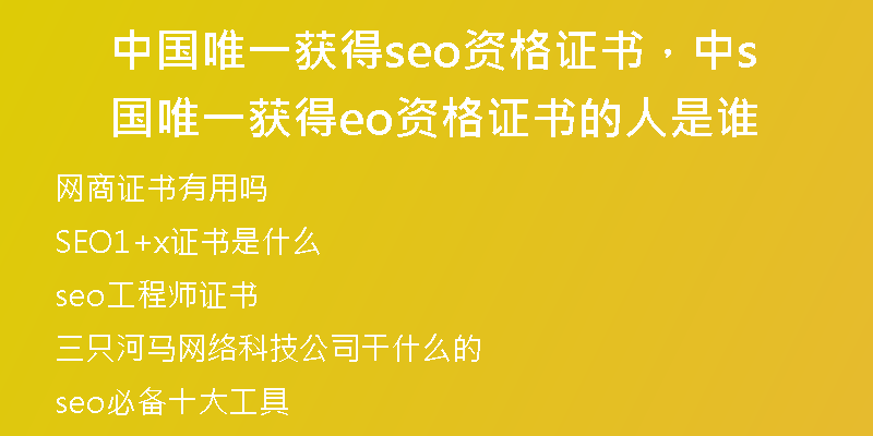 中国唯一获得seo资格证书，中国唯一获得seo资格证书的人是谁