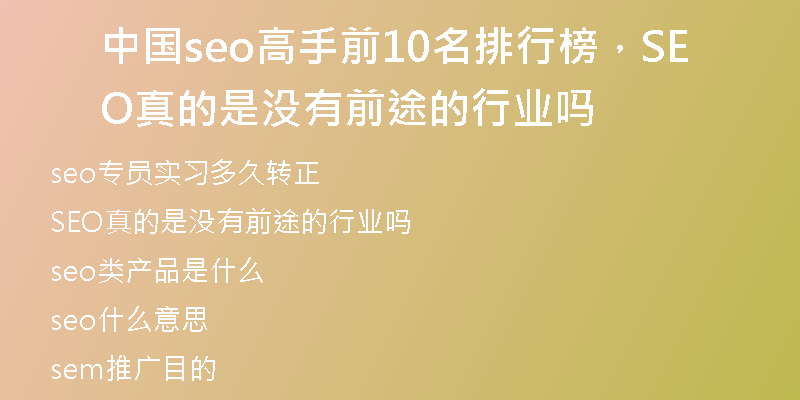 中国seo高手前10名排行榜，SEO真的是没有前途的行业吗