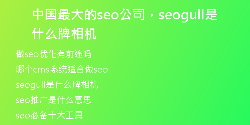 中国最大的seo公司，seogull是什么牌相机