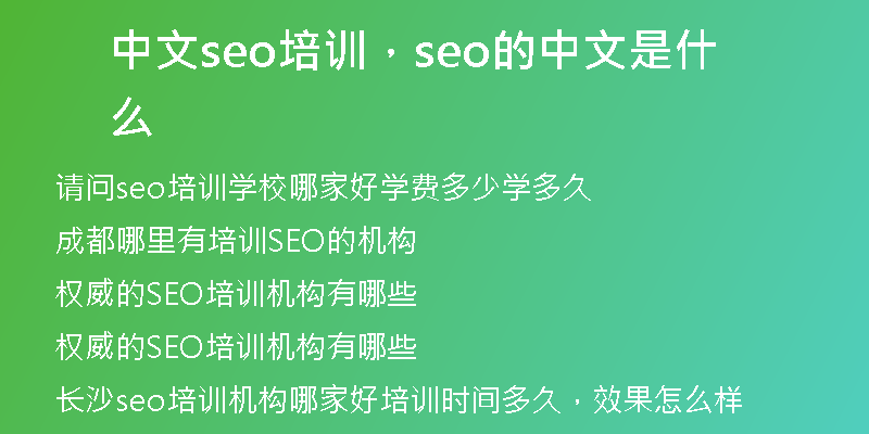 中文seo培训，seo的中文是什么