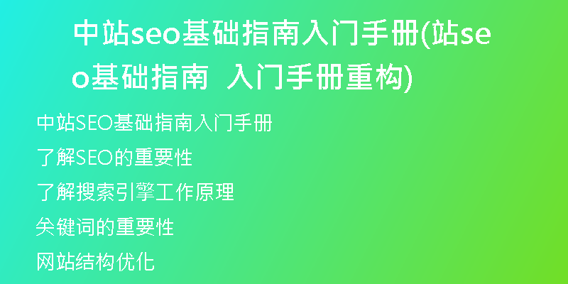 中站seo基础指南入门手册(站seo基础指南  入门手册重构)