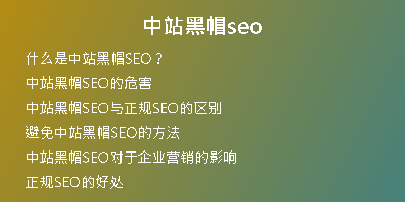 中站黑帽seo
