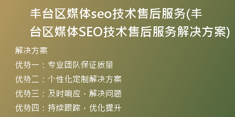 丰台区媒体seo技术售后服务(丰台区媒体SEO技术售后服务解决方案)