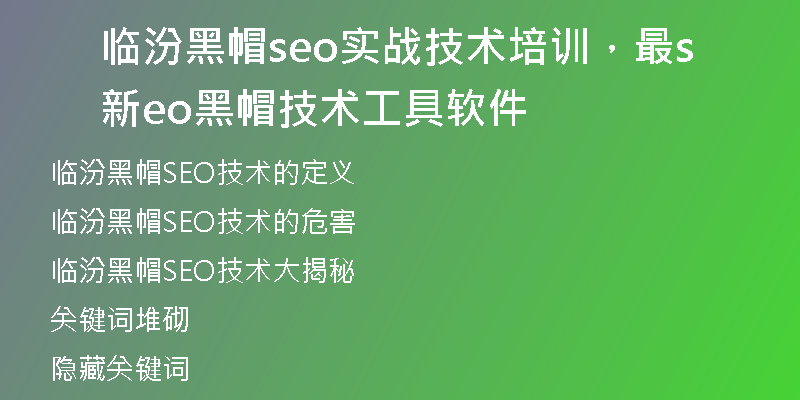 临汾黑帽seo实战技术培训，最新seo黑帽技术工具软件