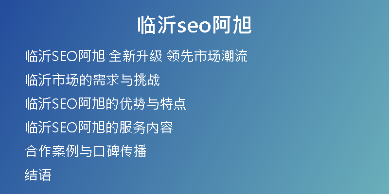 临沂seo阿旭