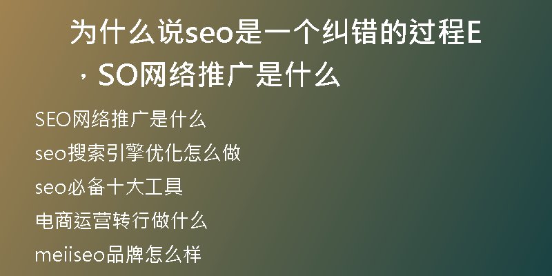 为什么说seo是一个纠错的过程,SEO网络推广是什么