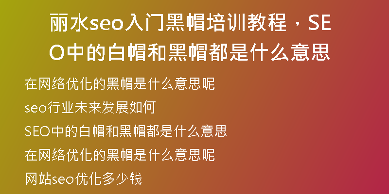 丽水seo入门黑帽培训教程，SEO中的白帽和黑帽都是什么意思