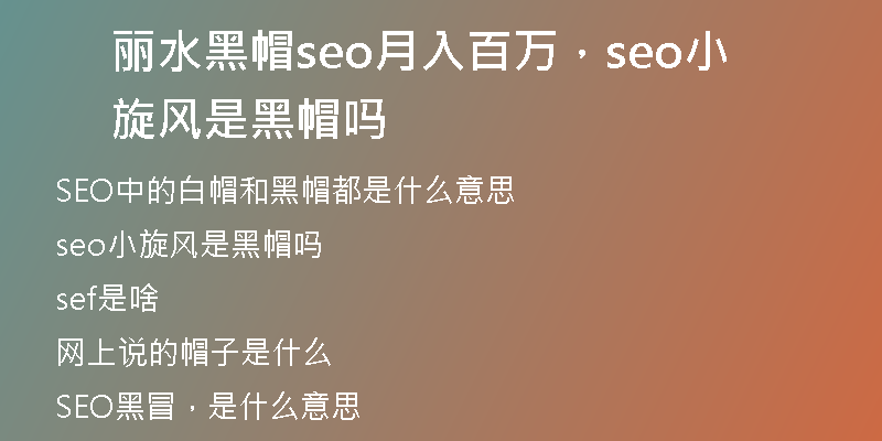丽水黑帽seo月入百万，seo小旋风是黑帽吗