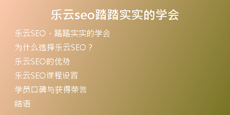 乐云seo踏踏实实的学会