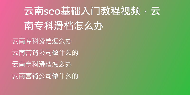 云南seo基础入门教程视频，云南专科滑档怎么办