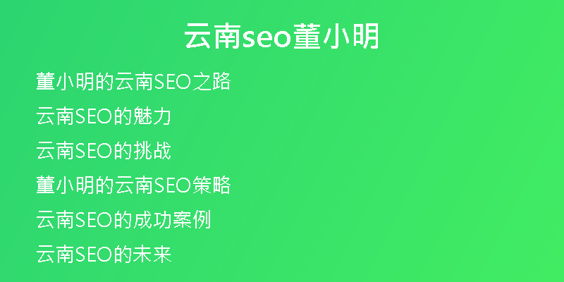 云南seo董小明