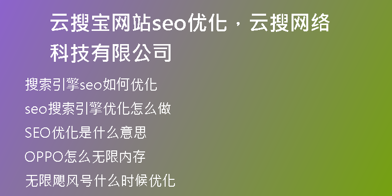 云搜宝网站seo优化，云搜网络科技有限公司