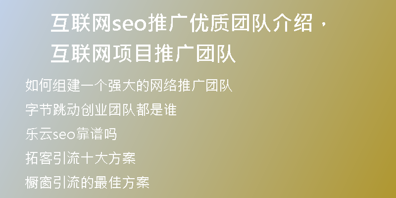 互联网seo推广优质团队介绍，互联网项目推广团队