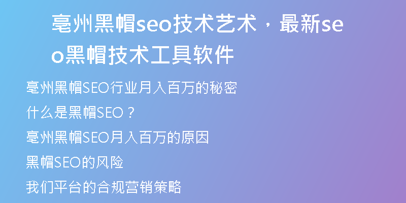 亳州黑帽seo技术艺术，最新seo黑帽技术工具软件