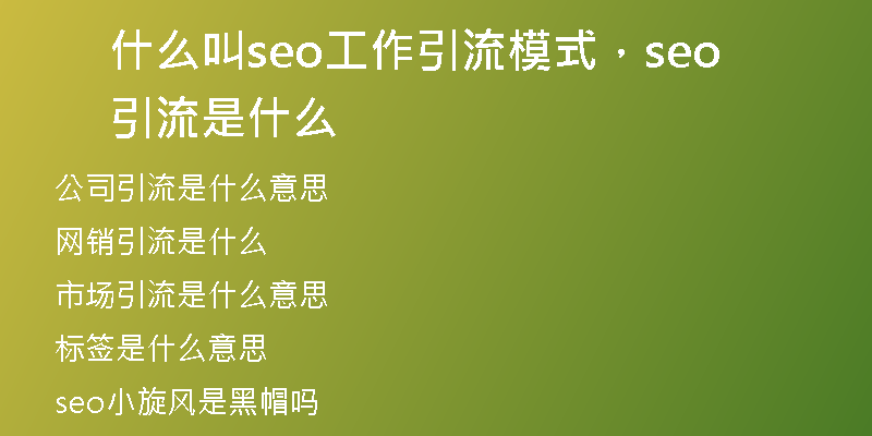 什么叫seo工作引流模式，seo引流是什么