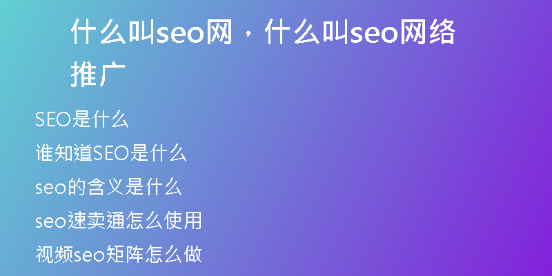 什么叫seo网，什么叫seo网络推广
