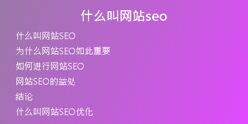 什么叫网站seo