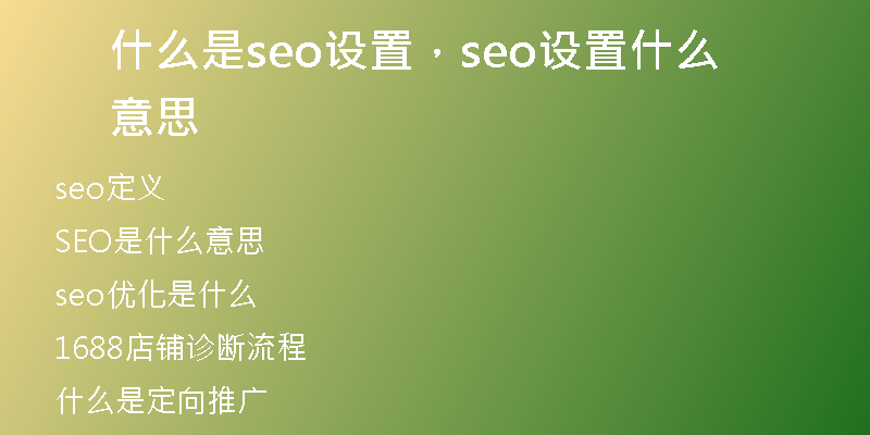 什么是seo设置，seo设置什么意思