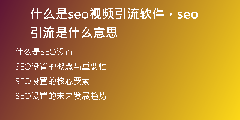 什么是seo视频引流软件，seo引流是什么意思