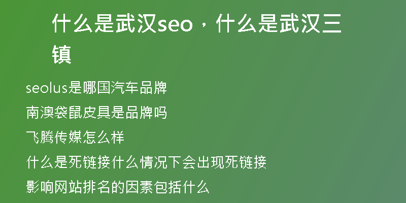 什么是武汉seo，什么是武汉三镇