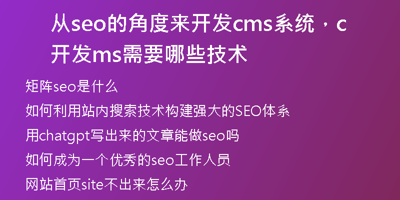 从seo的角度来开发cms系统，开发cms需要哪些技术