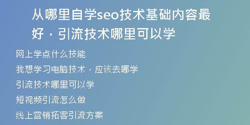 从哪里自学seo技术基础内容最好,引流技术哪里可以学
