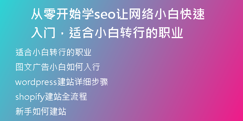从零开始学seo让网络小白快速入门，适合小白转行的职业