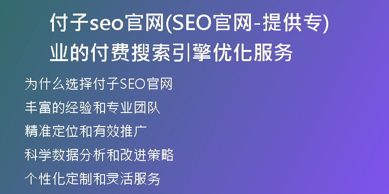 付子seo官网(SEO官网-提供专业的付费搜索引擎优化服务)