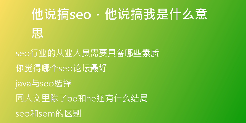 他说搞seo，他说搞我是什么意思