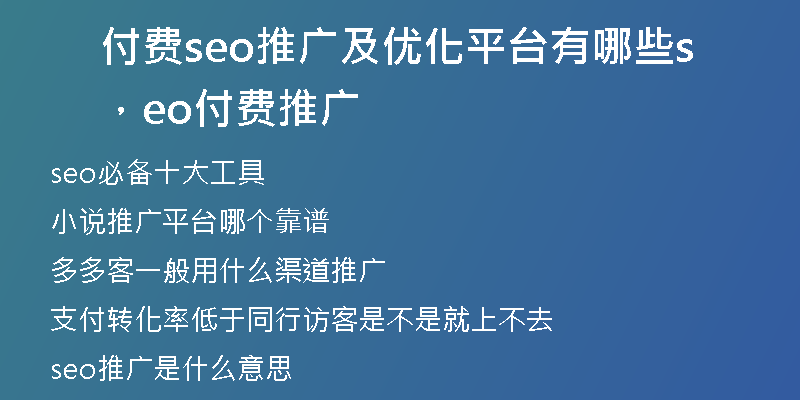 付费seo推广及优化平台有哪些，seo付费推广