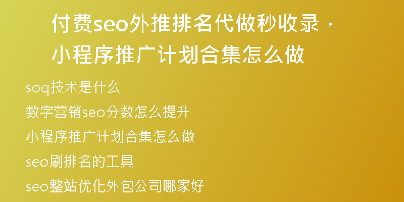 付费seo外推排名代做秒收录，小程序推广计划合集怎么做
