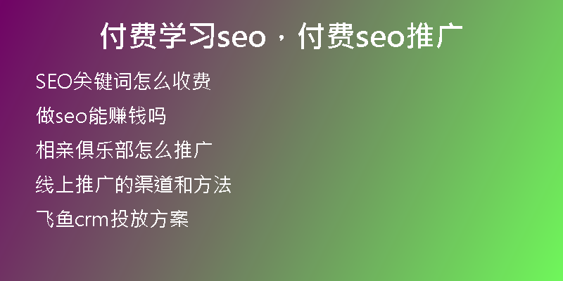 付费学习seo，付费seo推广