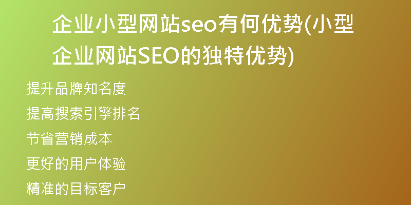 企业小型网站seo有何优势(小型企业网站SEO的独特优势)