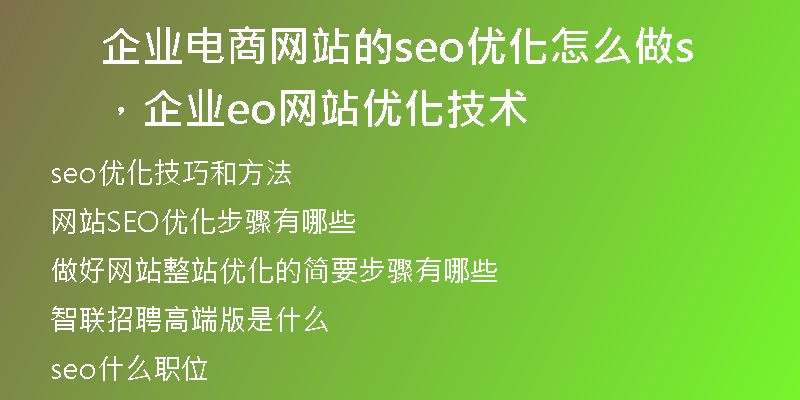 企业电商网站的seo优化怎么做，企业seo网站优化技术
