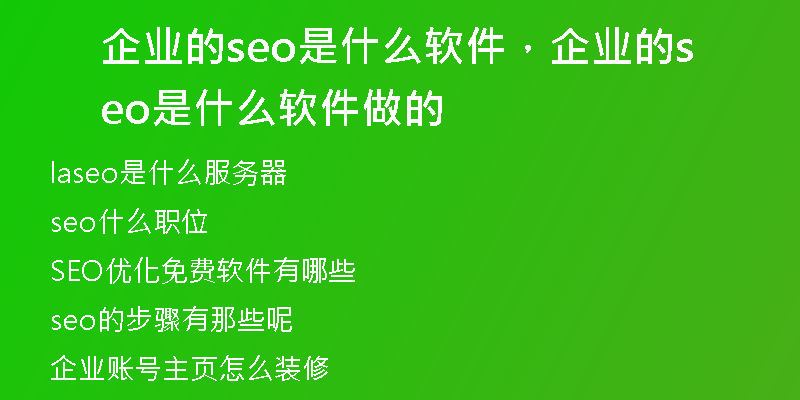 企业的seo是什么软件，企业的seo是什么软件做的