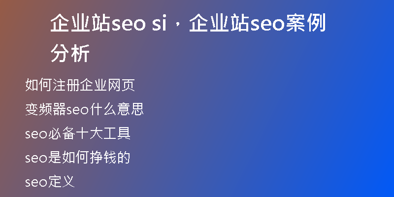 企业站seo si，企业站seo案例分析