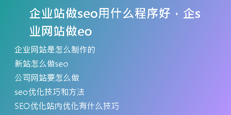企业站做seo用什么程序好，企业网站做seo