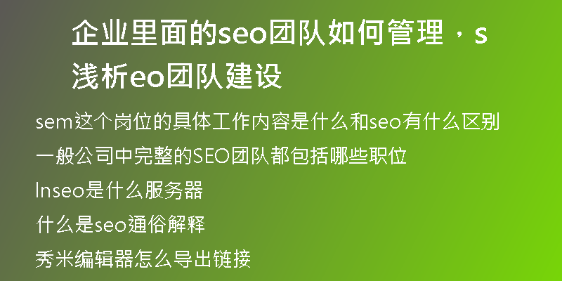 企业里面的seo团队如何管理，浅析seo团队建设