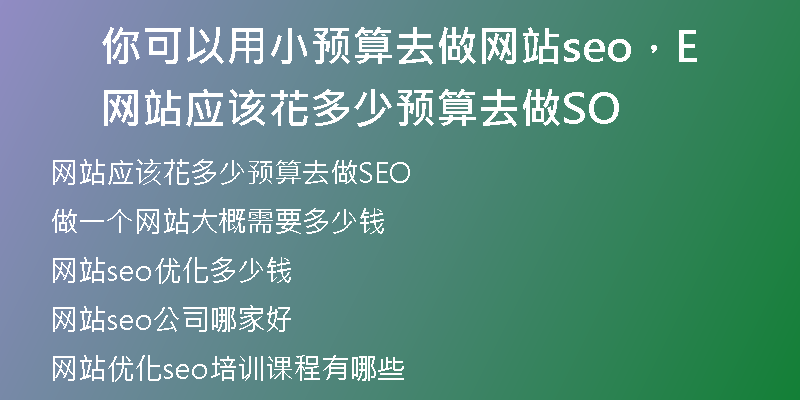 你可以用小预算去做网站seo，网站应该花多少预算去做SEO