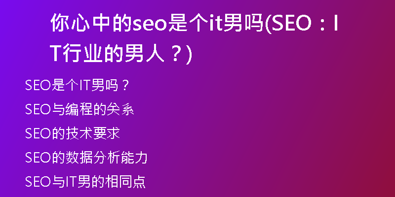 你心中的seo是个it男吗(SEO：IT行业的男人？)