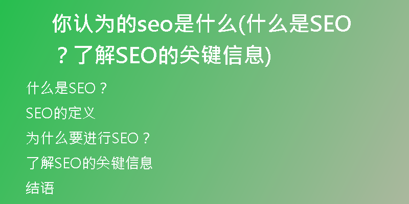 你认为的seo是什么(什么是SEO？了解SEO的关键信息)