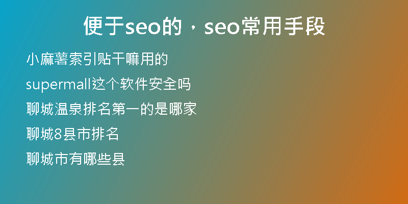 便于seo的，seo常用手段