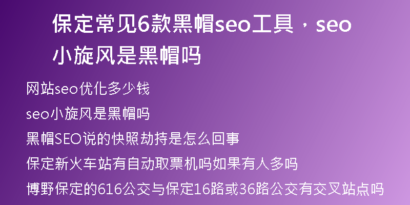 保定常见6款黑帽seo工具，seo小旋风是黑帽吗