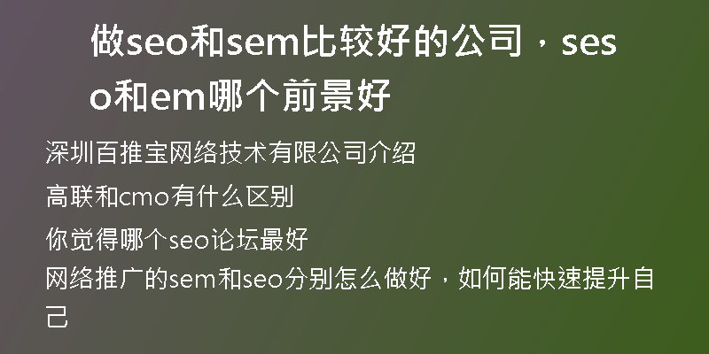 做seo和sem比较好的公司,seo和sem哪个前景好