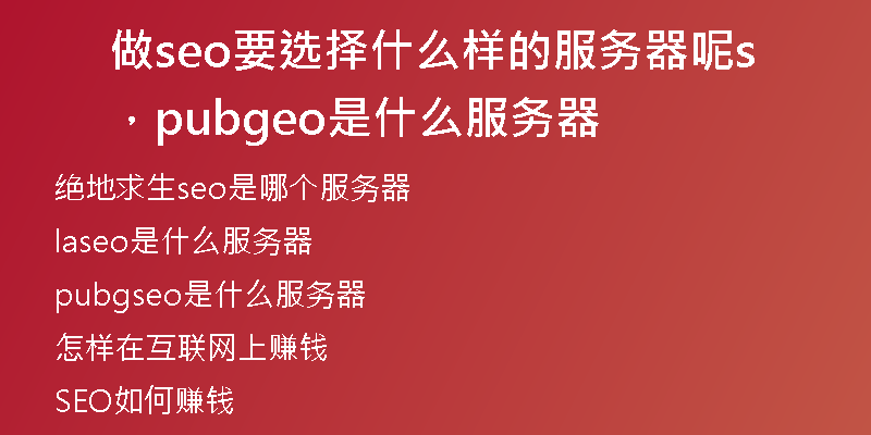 做seo要选择什么样的服务器呢，pubgseo是什么服务器